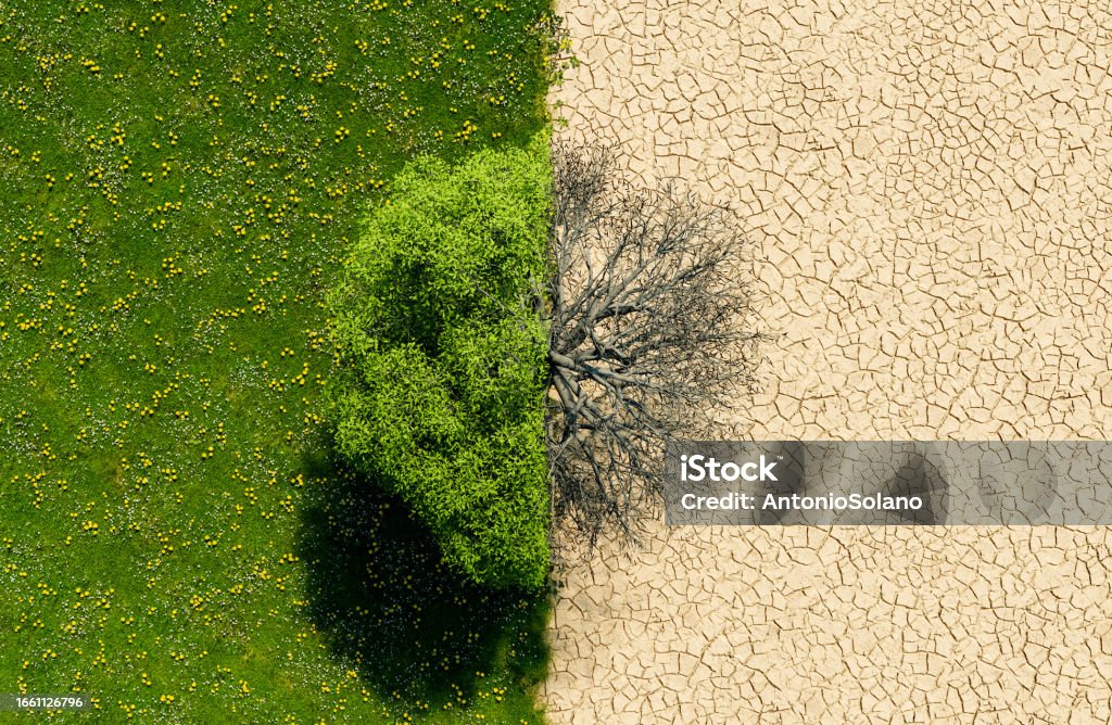 Bienvenido a este espacio de aprendizaje sobre el Cambio Climático. aquí exploraremos como nuestras acciones de hoy definen el planeta del mañana. Juntos aprenderemos a construir un nuevo futuro mas sostenible e eficiente